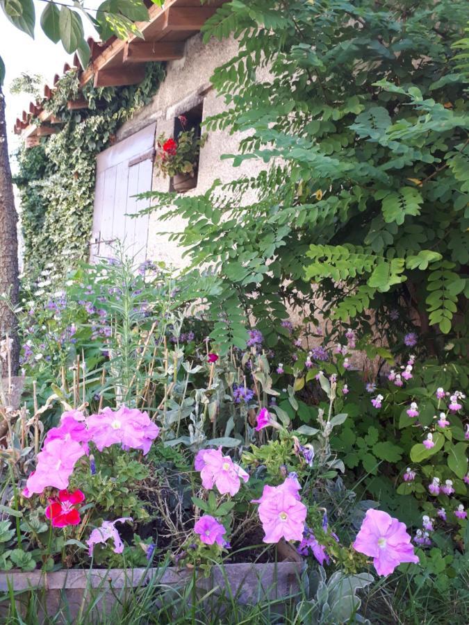 L'Orme-Vial Bed & Breakfast Saint-Galmier Eksteriør bilde
