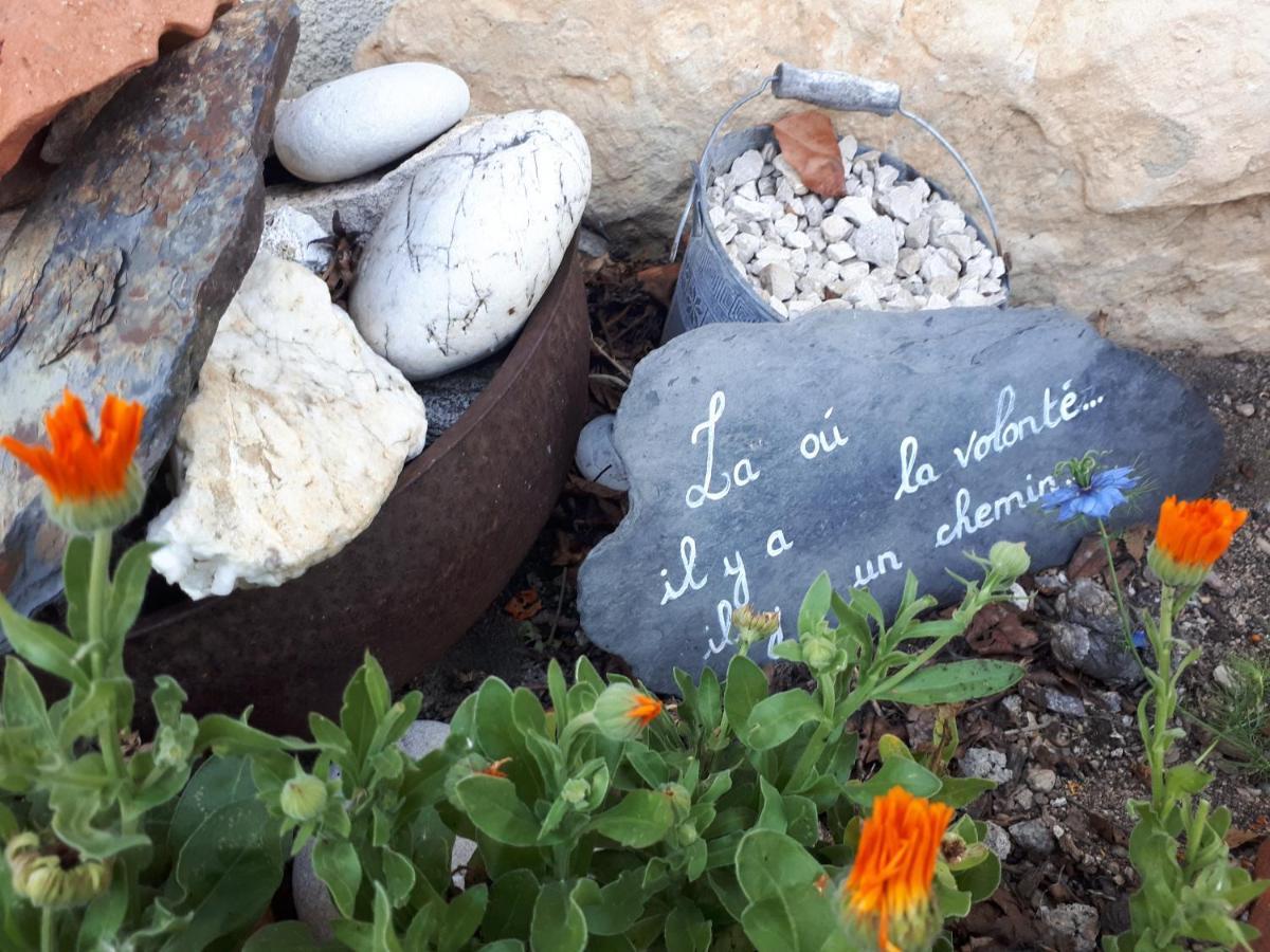L'Orme-Vial Bed & Breakfast Saint-Galmier Eksteriør bilde