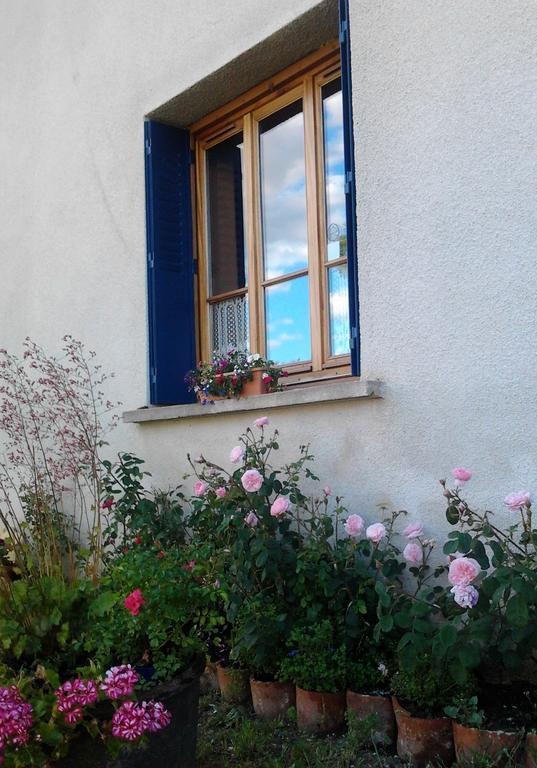 L'Orme-Vial Bed & Breakfast Saint-Galmier Eksteriør bilde